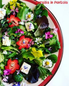 insalatona mista con fiori e frutti di primavera